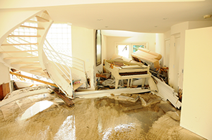 Flood Damage Pest Control Services in New Orleans, SE Louisiana & Mississippi by Presto-X 