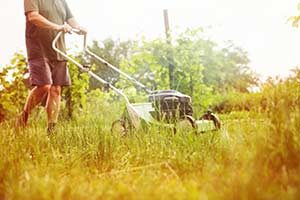 How to keep snakes out of your home in Louisiana and Mississippi - Snake control by Presto-X, formerly Fischer Environmental in New Orleans, SE Louisiana & Mississippi