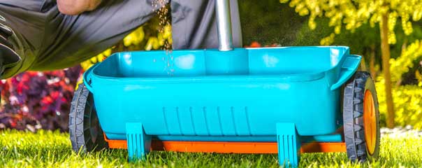 lawn-fertilizartion-service