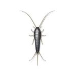 Presto-X "Formerly Fischer" provides information on silverfish in southeast LA and MS.