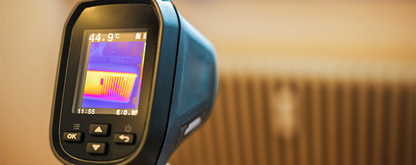 Thermal Pest Control Services in Louisiana & Mississippi