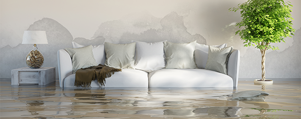 water-damaged-home-pest-control-services