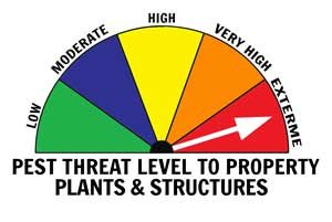 Property Threat Level for this Pest - EXTREME