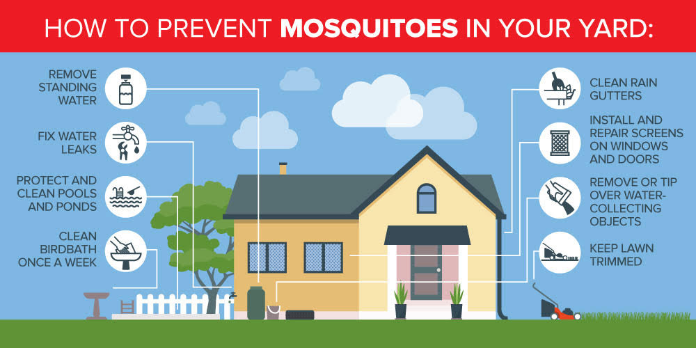 Mosquito breeding ground prevention in SE Louisiana and Mississippi - Presto-X "Formerly Fischer"